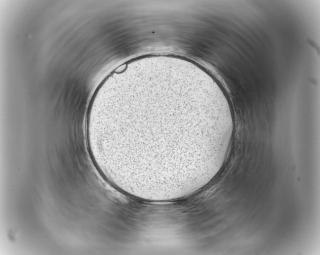 X0000100201343200806271633