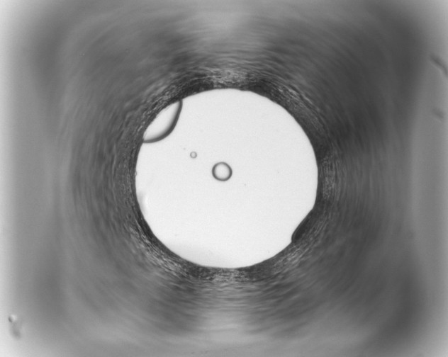 X0000100201345200806271632