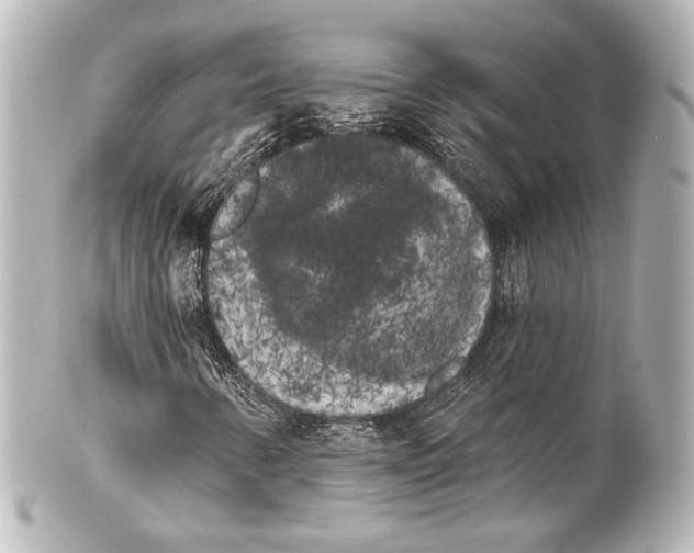 X0000100201346200806271632