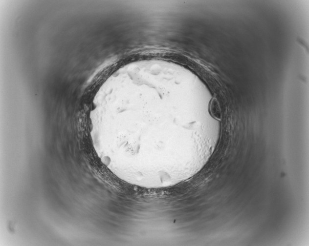 X0000100201351200806271632