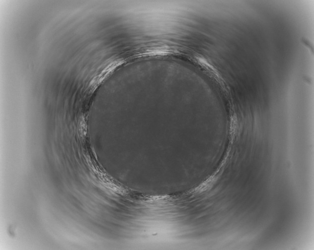 X0000100201353200806271632