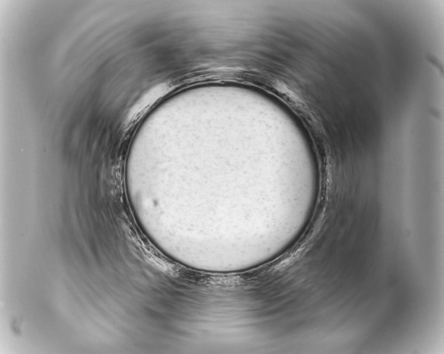 X0000100201354200806271632