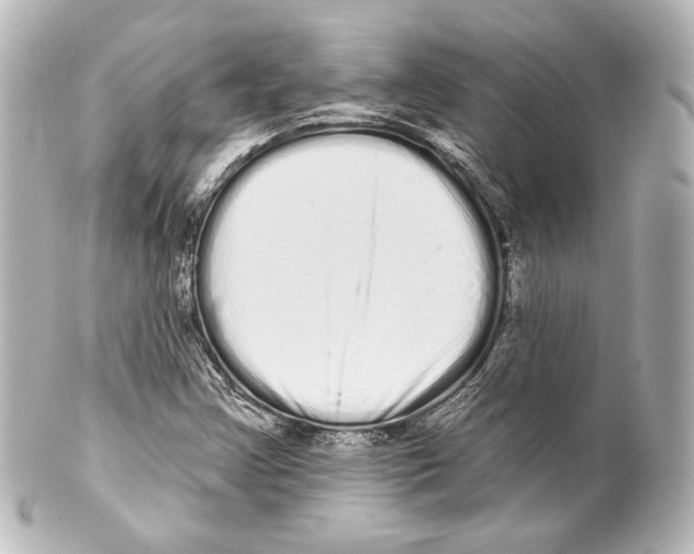 X0000100201355200806271632