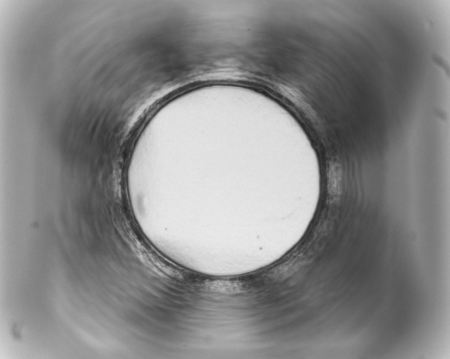 X0000100201356200806271632