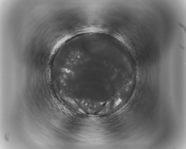 X0000100201358200806271632