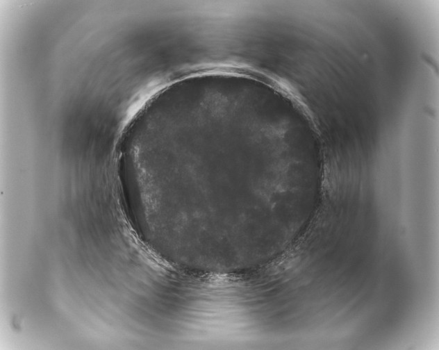 X0000100201360200806271632