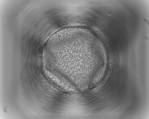 X0000100201361200806271632