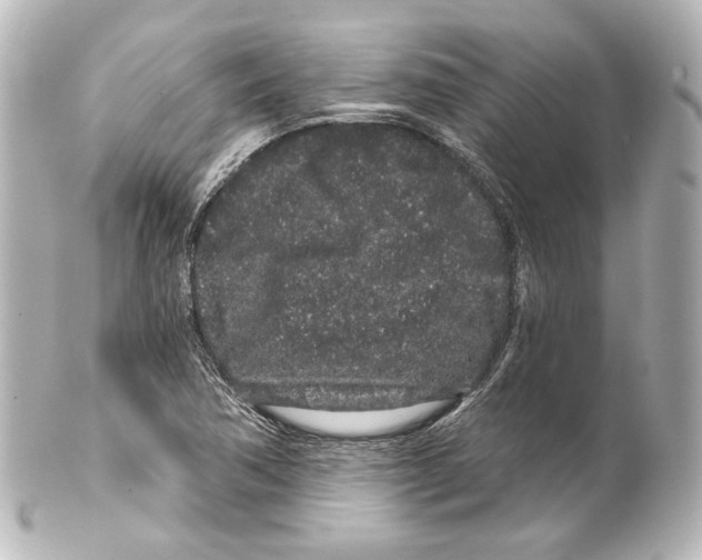 X0000100201362200806271632