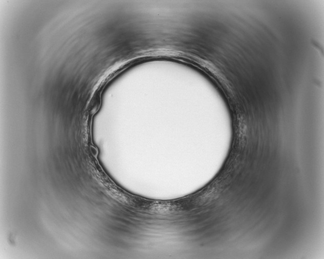 X0000100201364200806271632