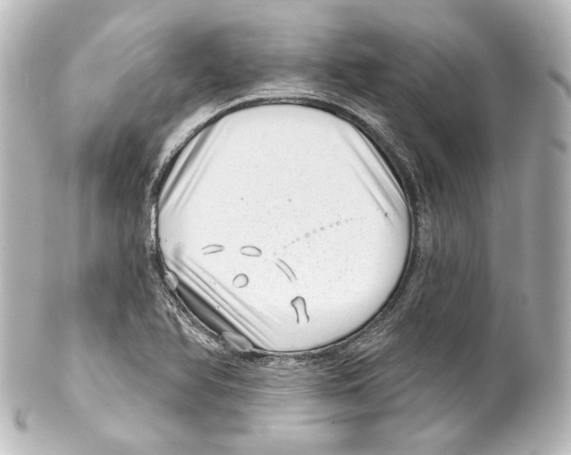 X0000100201366200806271632