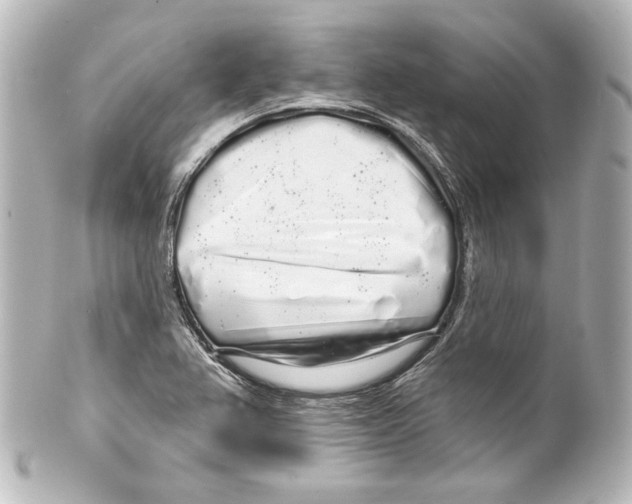 X0000100201367200806271632