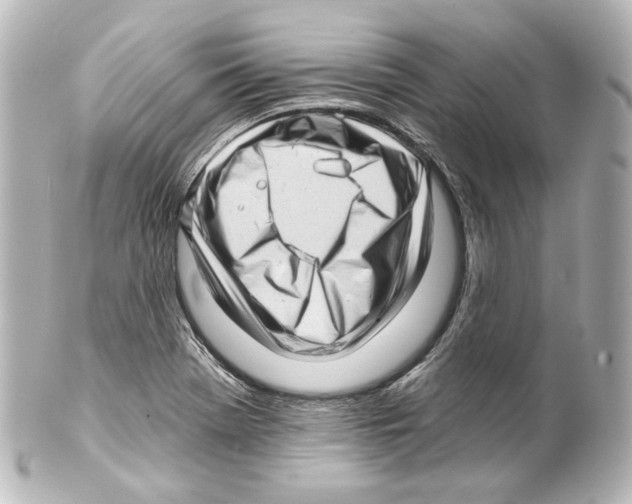 X0000100201369200806271632