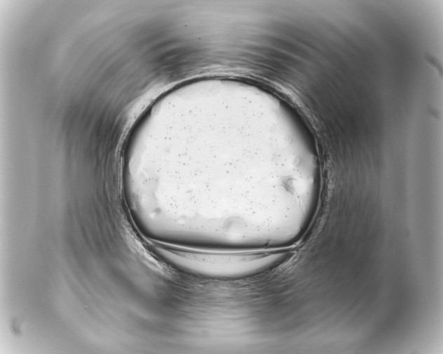 X0000100201371200806271632