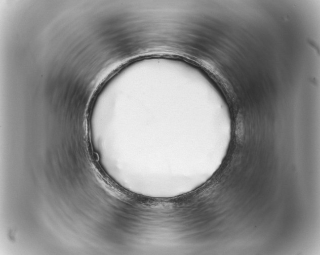 X0000100201372200806271632