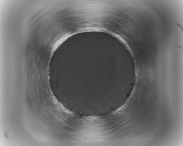 X0000100201373200806271632