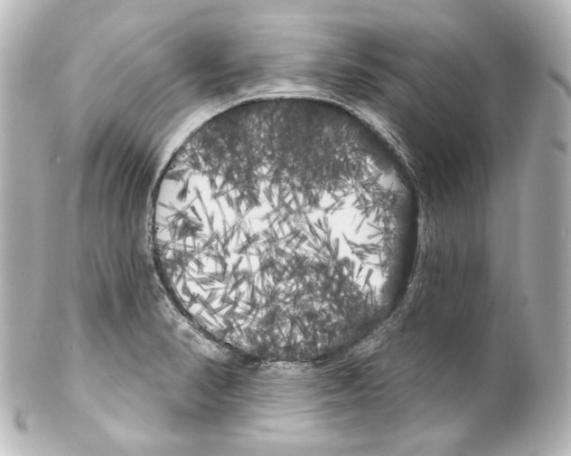 X0000100201374200806271632