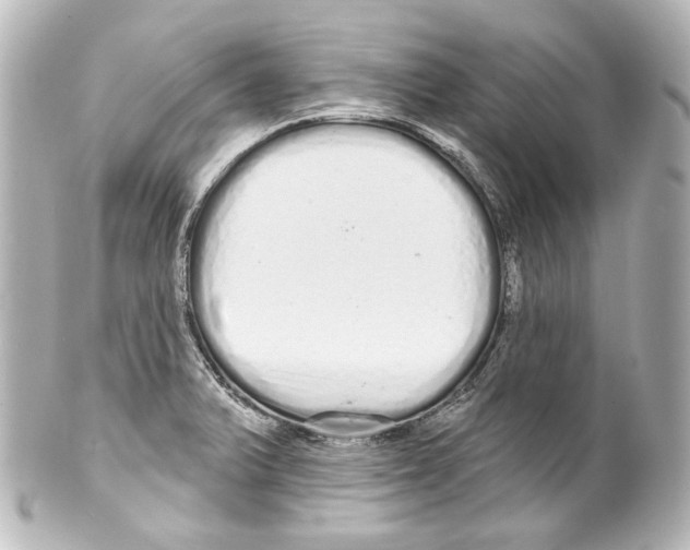 X0000100201375200806271632