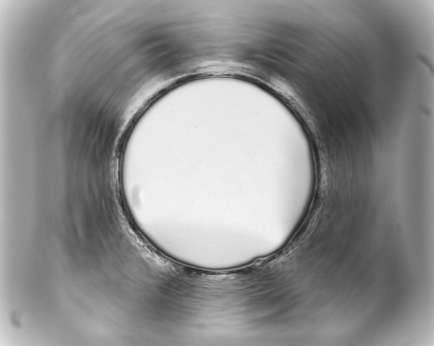 X0000100201376200806271632