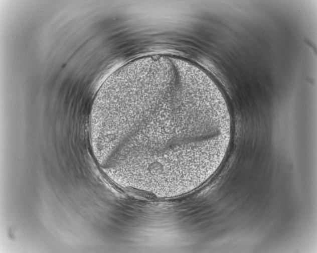 X0000100201377200806271632