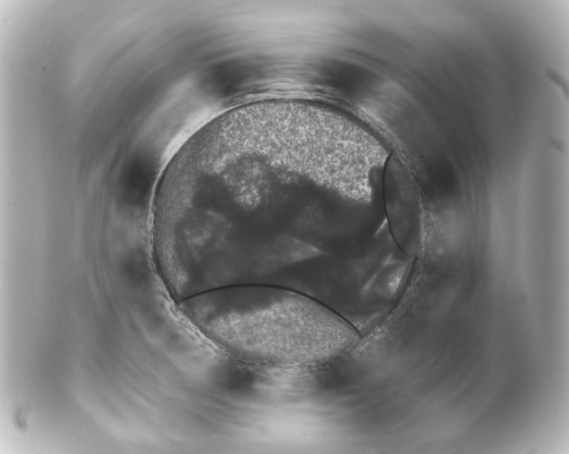 X0000100201378200806271632