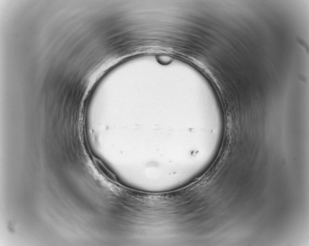 X0000100201379200806271632