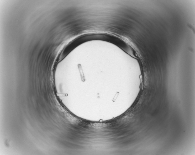 X0000100201380200806271632