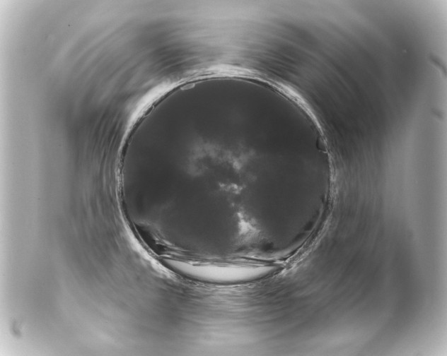 X0000100201381200806271632