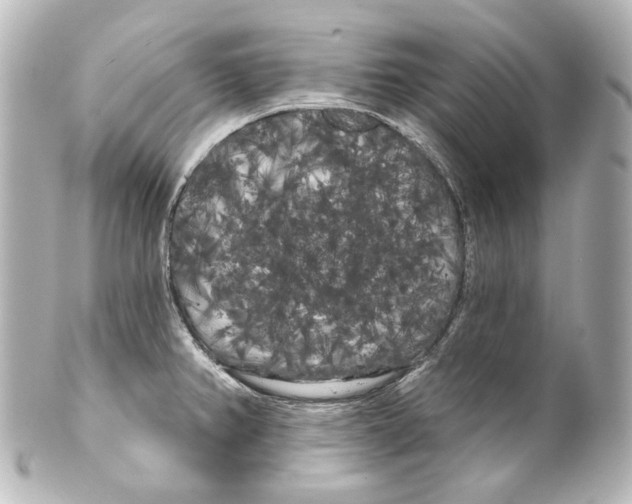 X0000100201382200806271632