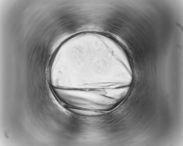 X0000100201383200806271632