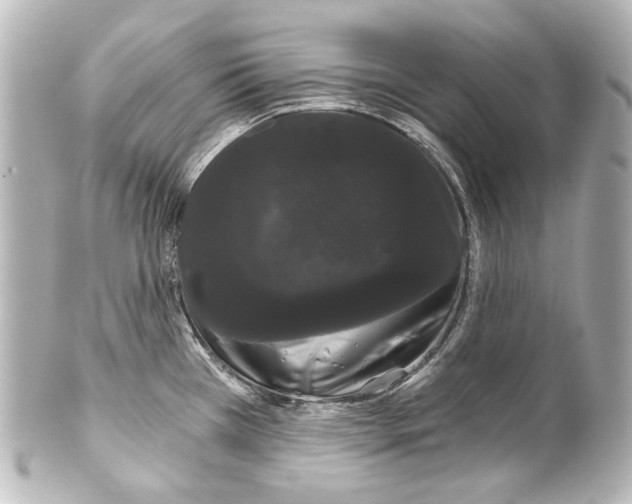 X0000100201385200806271632