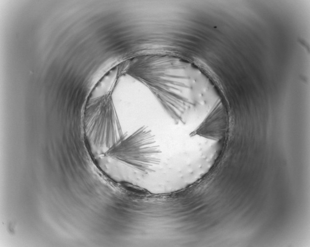 X0000100201386200806271632
