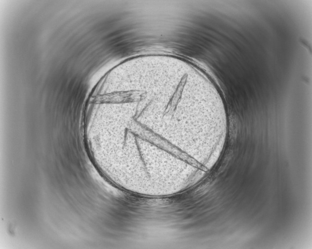 X0000100201387200806271632