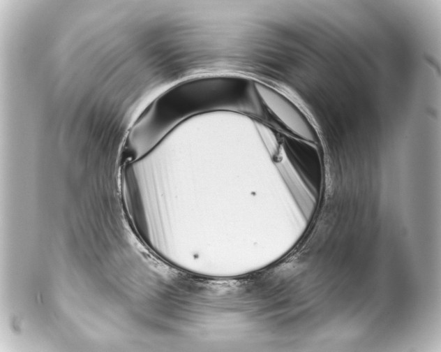 X0000100201388200806271632