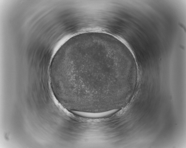 X0000100201389200806271632