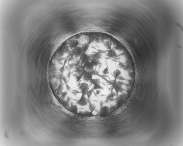 X0000100201390200806271632