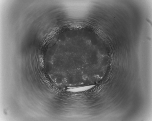 X0000100201394200806271631