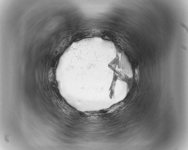 X0000100201395200806271631