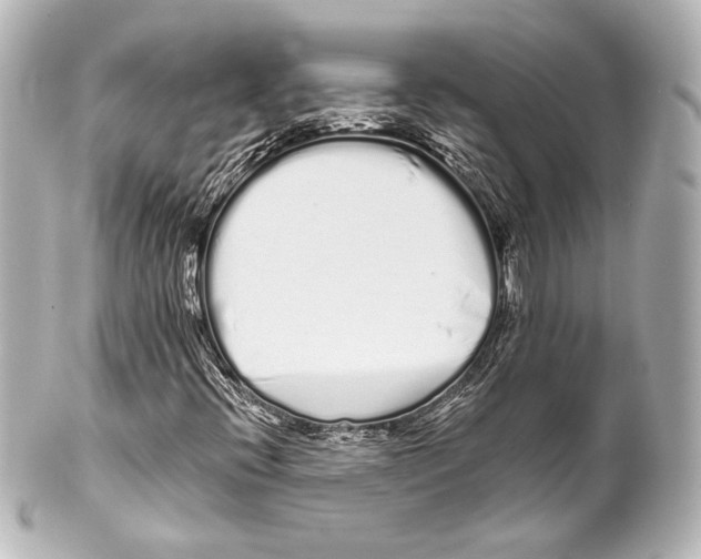 X0000100201396200806271631