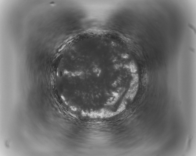 X0000100201397200806271631