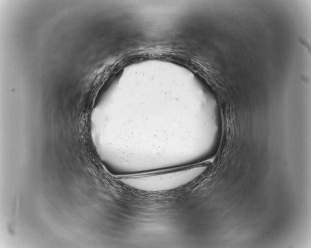 X0000100201398200806271631