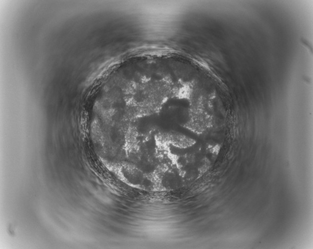 X0000100201399200806271631