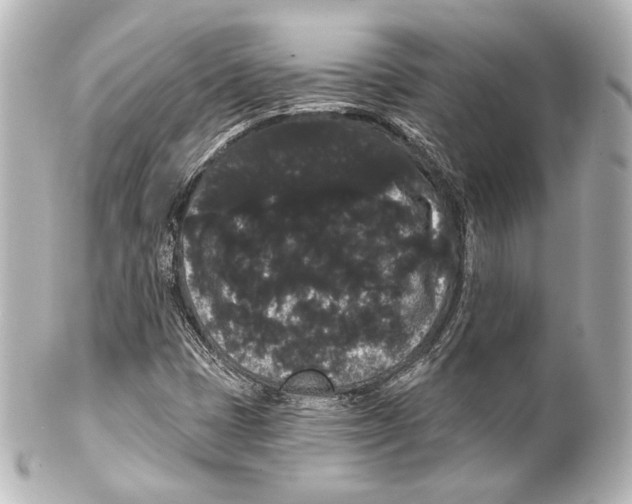 X0000100201401200806271631