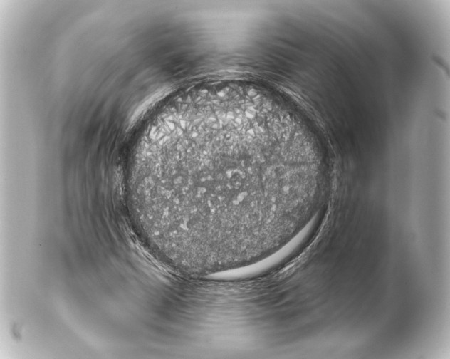 X0000100201402200806271631