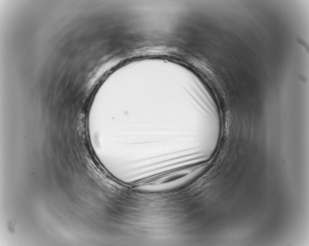 X0000100201404200806271631