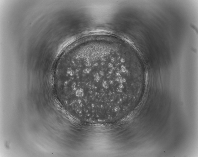 X0000100201405200806271631