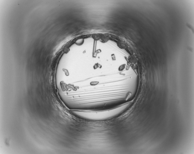 X0000100201406200806271631