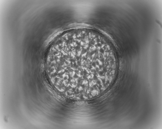 X0000100201407200806271631