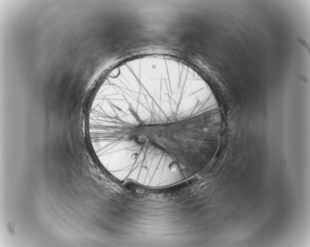 X0000100201408200806271631