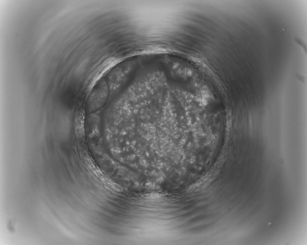 X0000100201409200806271631