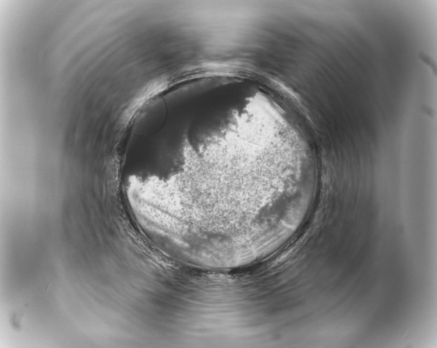 X0000100201411200806271631